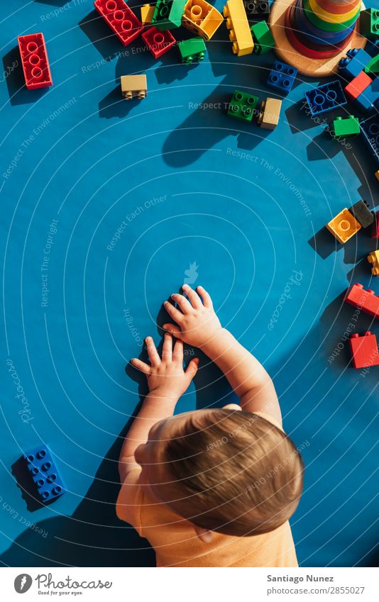 Frohes Baby beim Spielen mit Spielzeugblöcken. Kinderbetreuung Kindergarten Schule Kleinkind Junge klein Glück Fürsorge Etage niedlich Freude Vorschule Bildung