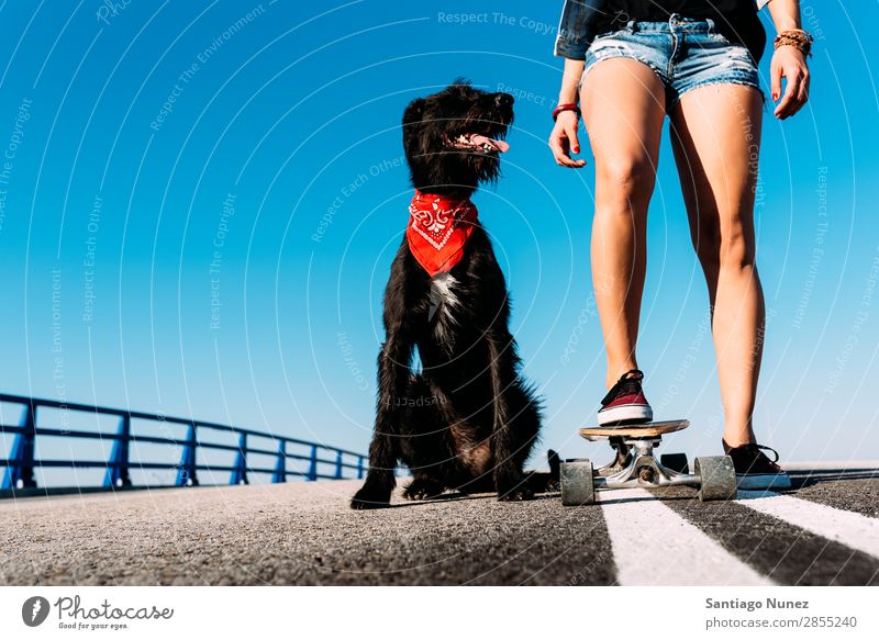 Schöner junger Mann, der ihren Hund liebt. Mädchen Frau Haustier Besitzer Schlittschuhlaufen Stadt Jugendliche Sport Longboard Reiten Schlittschuhe Glück