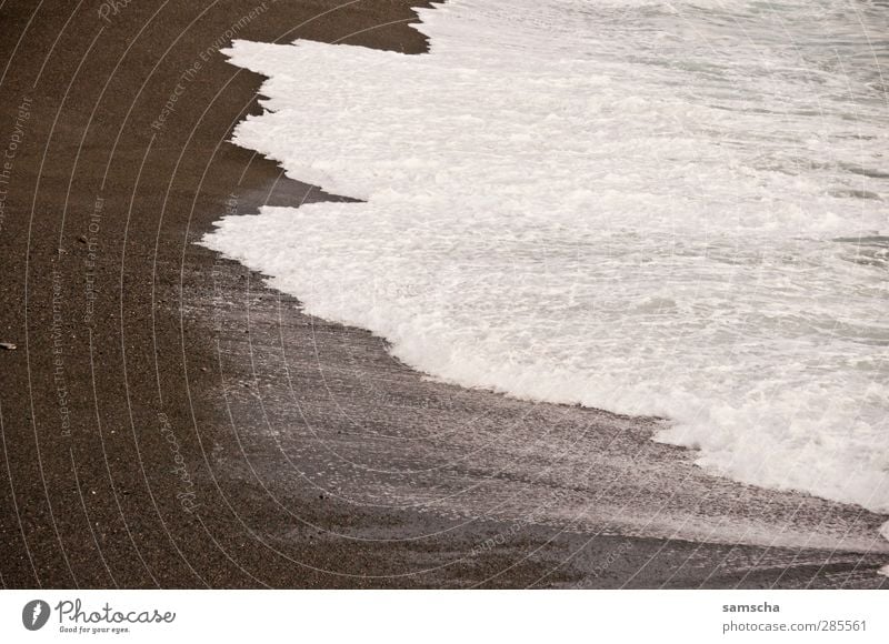 schäumend Ferien & Urlaub & Reisen Strand Meer Natur Wasser Küste Schwimmen & Baden Flüssigkeit kalt nass natürlich Abenteuer Strandspaziergang Strandleben