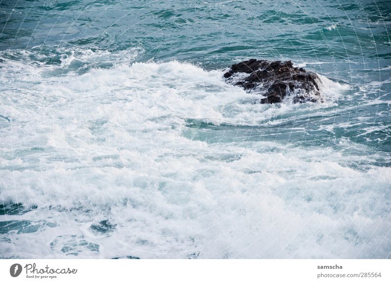 Wellengang Meer Natur Wasser Küste nass wild Abenteuer Meerwasser Surfen Wellenform Wellenschlag Felsen Felsküste Gischt Wellenbruch Wasseroberfläche blau