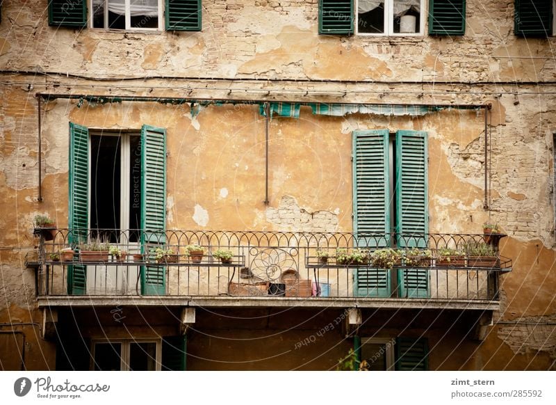 Balkonien mediterran Ferien & Urlaub & Reisen Tourismus Ausflug Häusliches Leben Haus Pflanze Siena Toskana Italien Stadt Stadtzentrum Fassade Fenster