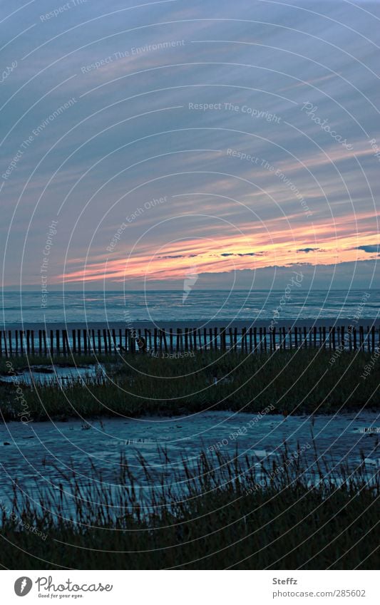 Stille an der Nordsee Wattenmeer Sehnsucht nordisch maritim Meer Nordseeküste nordische Romantik Hochwasser Fernweh Ebbe Gezeiten Meeresstimmung Abendruhe Sinn