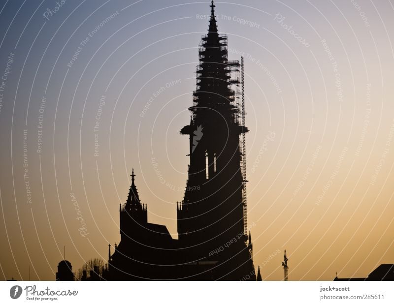 Turm auf Erden Wolkenloser Himmel Freiburg im Breisgau Dom Bauwerk Architektur Sehenswürdigkeit Wahrzeichen Freiburger Münster historisch Romantik Gotik hoch