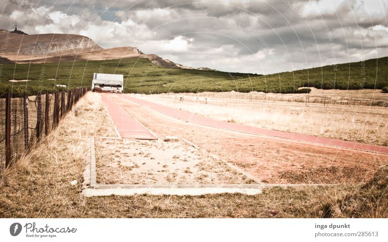 Absprung Umwelt Natur Landschaft Pflanze Gras Berge u. Gebirge Rumänien Siebenbürgen Sport Laufbahn Sportstätten Sport-Training springen Gedeckte Farben