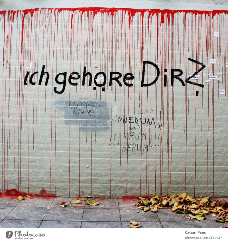 ich gehöre Dir? Mauer Wand Stadt Graffiti Text Dinge welk Blatt Herbst rot Farbe Straßenkunst Fragen Besitz Liebe besessen verrückt Stein Farbfoto Außenaufnahme