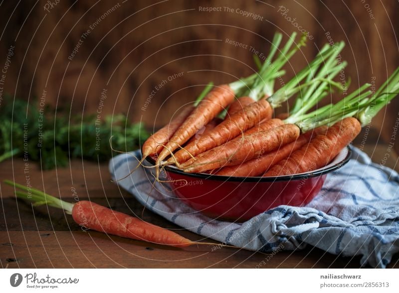 Stillleben mit Karotten Lebensmittel Gemüse Möhre Ernährung Bioprodukte Vegetarische Ernährung Geschirr Schalen & Schüsseln Küchenhandtücher Holz Metall fest