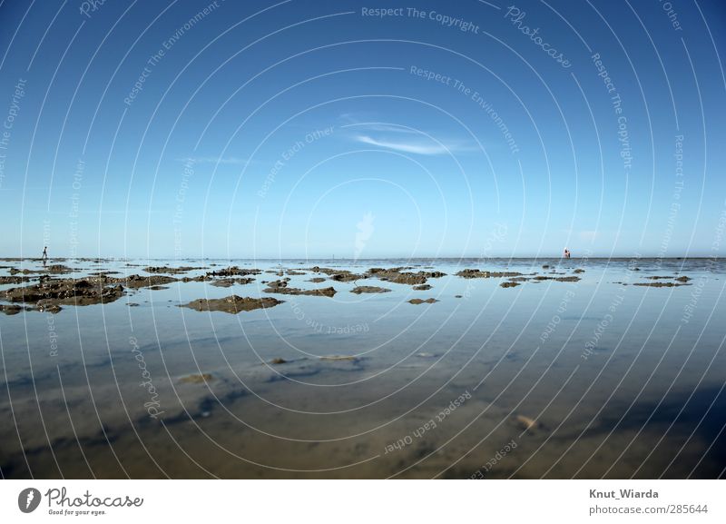 Viel Watt Mensch Natur Landschaft Himmel Sommer Küste Nordsee wandern Ferne Unendlichkeit blau braun Ferien & Urlaub & Reisen Umwelt Wattenmeer Meer Ebene