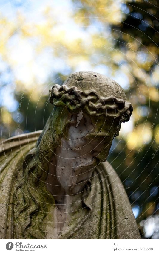 statue Natur Schönes Wetter Park Wald alt historisch trösten Glaube demütig Traurigkeit Trauer Tod Senior Religion & Glaube Verfall Vergangenheit