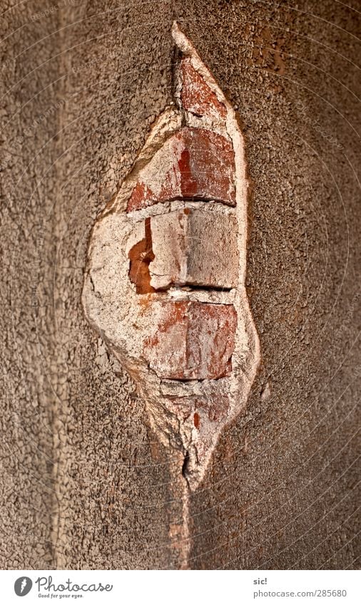 Eckstein Haus Renovieren Umzug (Wohnungswechsel) Handwerker Baustelle Ruine Gebäude Mauer Wand Fassade Stein Backstein alt dunkel eckig kaputt braun rot weiß