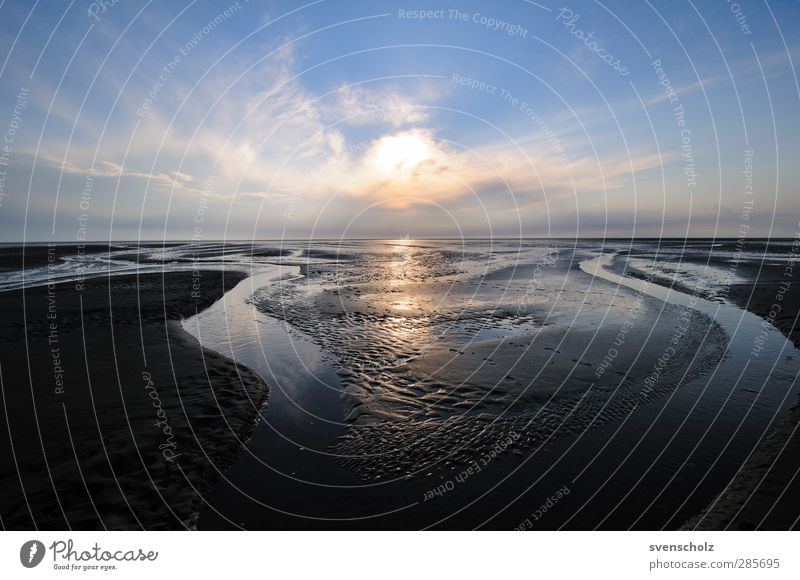 Watt Natur Landschaft Urelemente Sand Wasser Himmel Wolken Sonnenaufgang Sonnenuntergang Schönes Wetter Küste Bucht Nordsee Meer Ferne frisch gigantisch