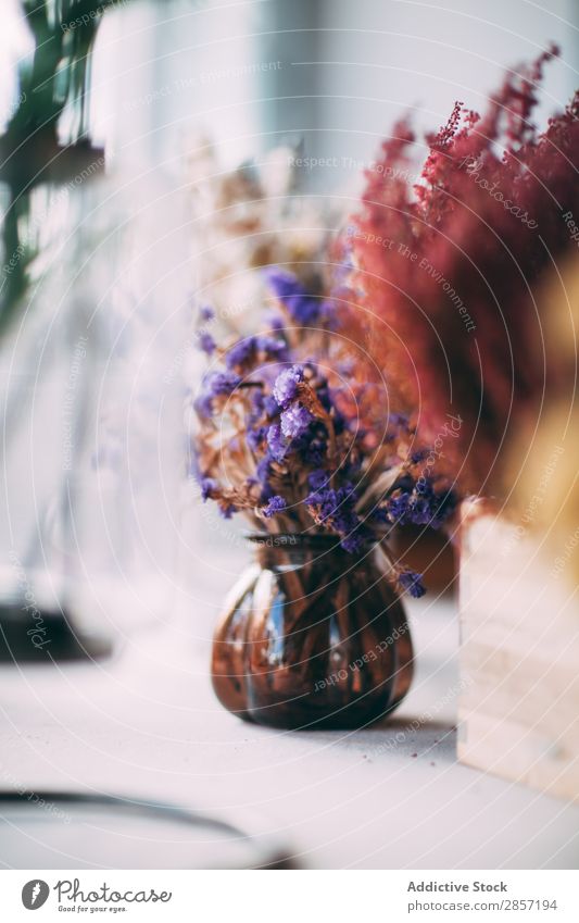 Getrocknete Blumen Ordnung schön Blumenstrauß Haufen Dekor dekorieren getrocknet Trockenblumen geblümt Blatt Glas Pflanze Licht lieblich natürlich hübsch