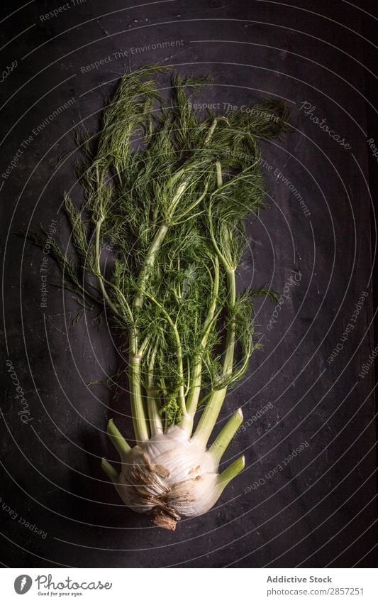 Frischer Fenchel auf dunklem Hintergrund Landwirtschaft Antioxidans Hintergrundbild Knolle dunkel Diät Geschmack Lebensmittel frisch grün Gesundheit