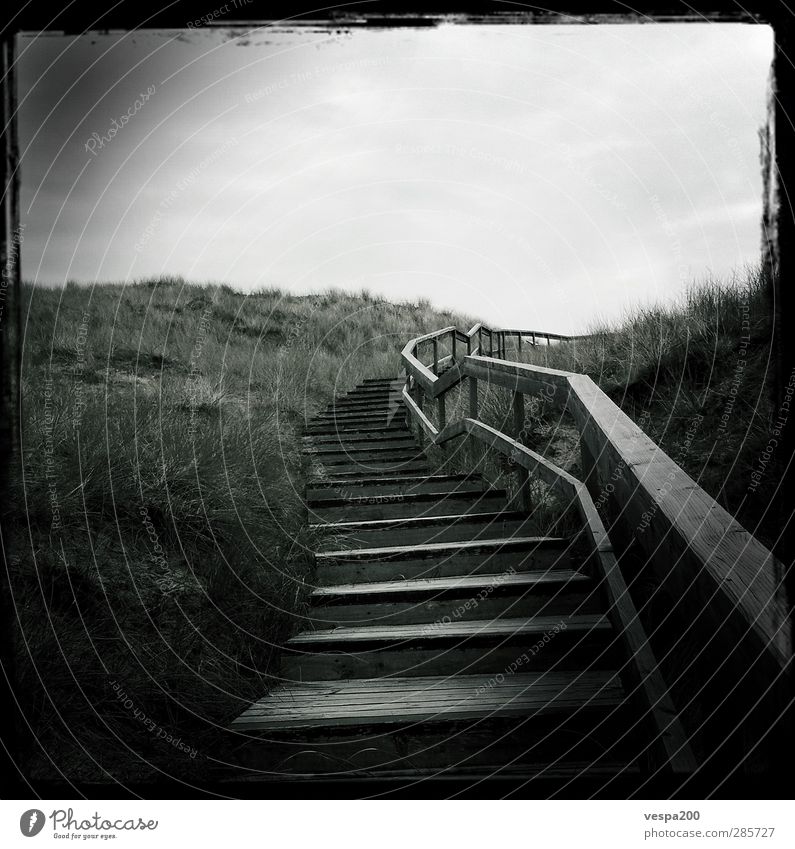 stairway to beach Ausflug Abenteuer Ferne Freiheit wandern Natur Landschaft Pflanze Erde Sand Himmel Wolken Frühling Klima Wind Gras Wildpflanze Hügel Gipfel