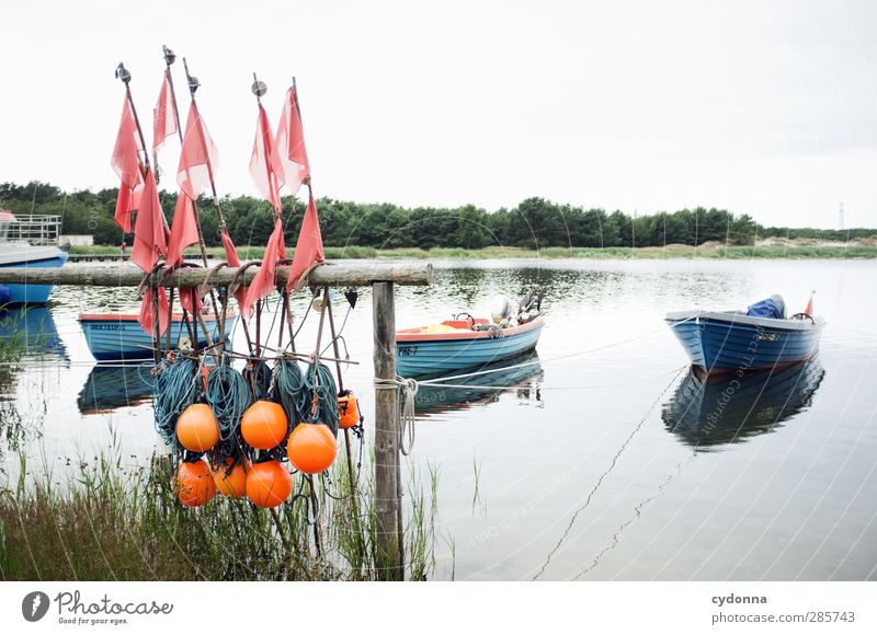 Fischfangkultur Umwelt Natur Landschaft Wasser Himmel Sommer Wald Küste Seeufer Ostsee Schifffahrt Fischerboot Ruderboot Hafen Seil Einsamkeit Freiheit Idylle