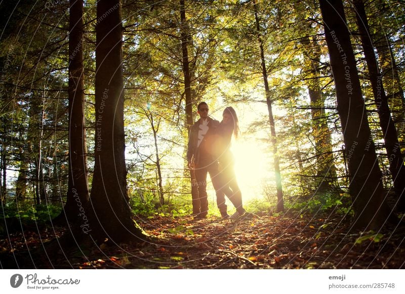 WE maskulin feminin Junge Frau Jugendliche Junger Mann Paar 2 Mensch 18-30 Jahre Erwachsene Umwelt Natur Herbst Wald natürlich gold grün Liebespaar Farbfoto