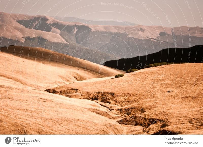 der Wanderweg ist das Ziel Umwelt Natur Landschaft Pflanze Urelemente Erde Wetter Schönes Wetter Sträucher Berge u. Gebirge Rumänien Karpaten Siebenbürgen