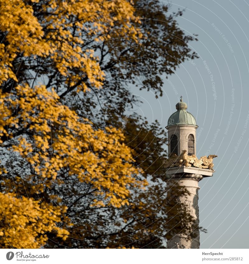 Herbst jetzt auch am Karlsplatz Schönes Wetter Baum Blatt Park Wien Österreich Hauptstadt Stadtzentrum Kirche Bauwerk Gebäude Architektur Sehenswürdigkeit