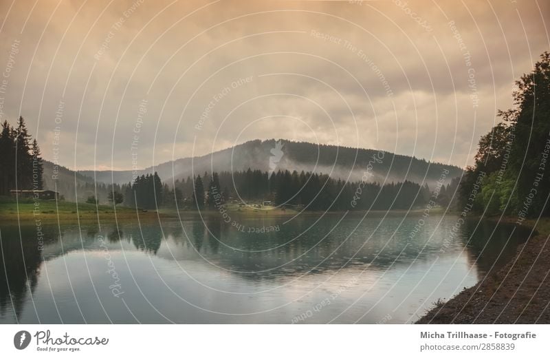 Regen und Nebel über dem See Natur Landschaft Wasser Himmel Wolken Sonnenlicht Wetter schlechtes Wetter Wald Berge u. Gebirge Seeufer Erholung leuchten