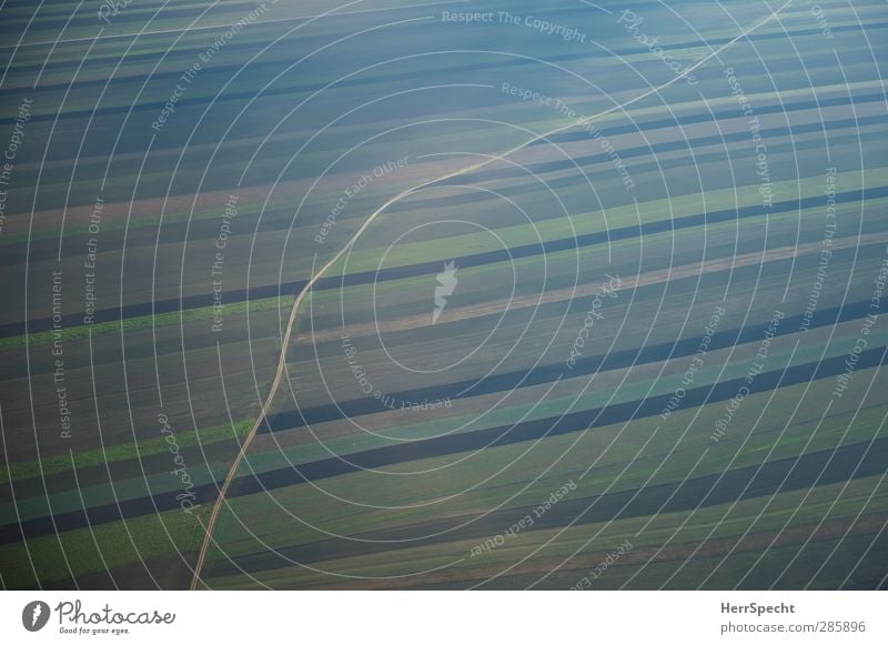 Der Weg Umwelt Landschaft Erde Winter Feld braun grün Luftaufnahme Flugzeugausblick Kulturlandschaft Landwirtschaft Straße Wege & Pfade ausdruckslos Ferne