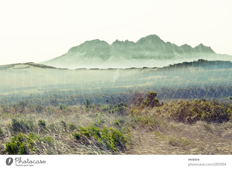 Der dunst Berg Tourismus Ausflug Safari Expedition Sommer Berge u. Gebirge Umwelt Natur Landschaft Pflanze Gras Sträucher Wiese Fröhlichkeit Farbfoto