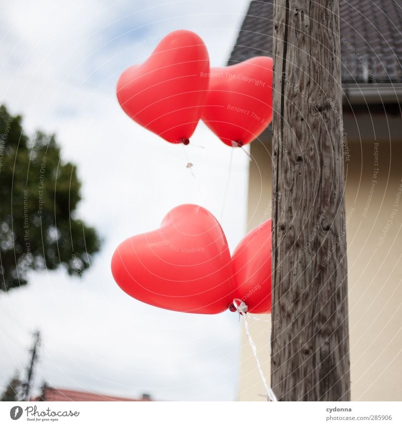 Von Herzen Lifestyle Feste & Feiern Hochzeit Geburtstag Umwelt Himmel Wind Baum Dorf Haus Bewegung Partnerschaft einzigartig entdecken Freiheit Gefühle Glück