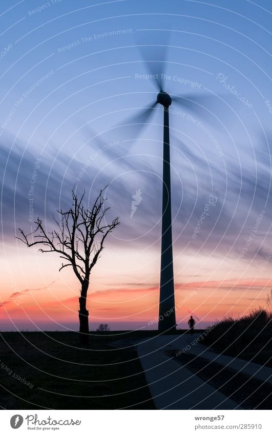 Lauf in die Dämmerung Maschine Technik & Technologie Fortschritt Zukunft Energiewirtschaft Erneuerbare Energie Windkraftanlage Mann Erwachsene 1 Mensch Himmel