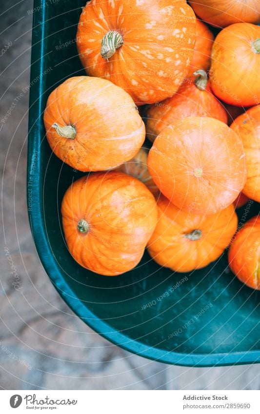 Kpumpen in der Schubkarre Herbst Feste & Feiern Textfreiraum Dekoration & Verzierung Lebensmittel Frucht Halloween Ernte Oktober Orange Kürbis rustikal Angst