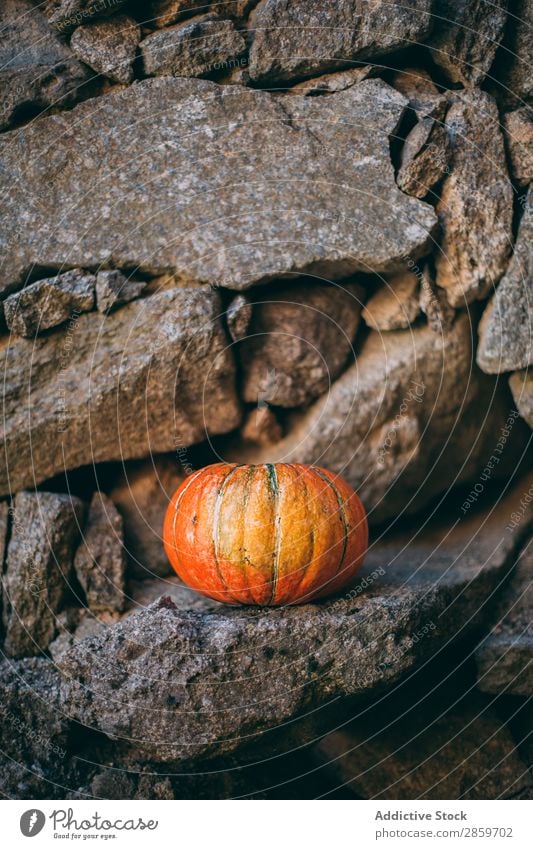 Pumpking mit Steinwandhintergrund Herbst Feste & Feiern Textfreiraum Dekoration & Verzierung Lebensmittel Frucht Halloween Ernte Oktober Orange Kürbis rustikal