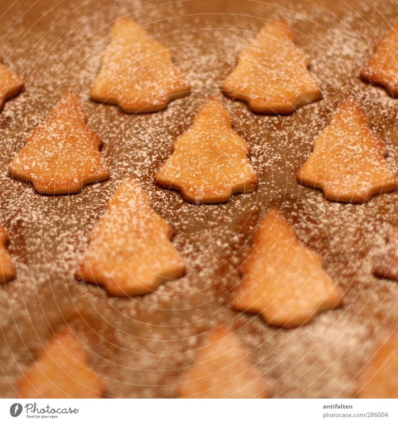 Oh Tannenbäume Lebensmittel Teigwaren Backwaren Ernährung Essen Kaffeetrinken Plätzchen Herd & Backofen Backpapier Papier Zeichen Weihnachtsbaum