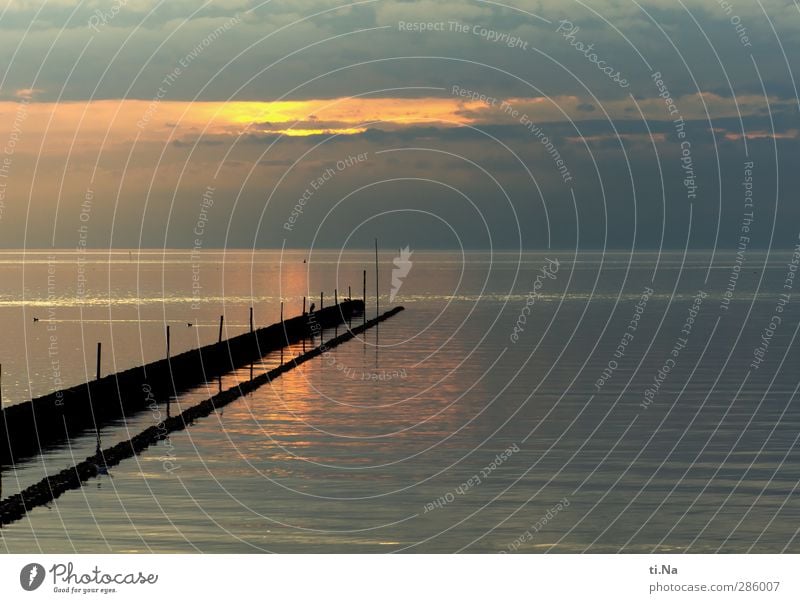 heute ist ein toller Tag Umwelt Natur Landschaft Urelemente Luft Wasser Himmel Wolken Horizont Sonnenaufgang Sonnenuntergang Herbst Nordsee Erholung leuchten