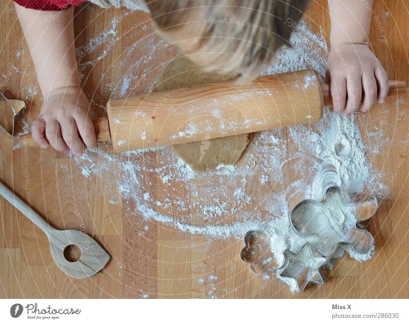 Weihnachtsbäckerei mit Diego Lebensmittel Teigwaren Backwaren Ernährung Mensch Kind Kleinkind Kindheit Kopf Hand 1 1-3 Jahre 3-8 Jahre lecker süß Nudelholz