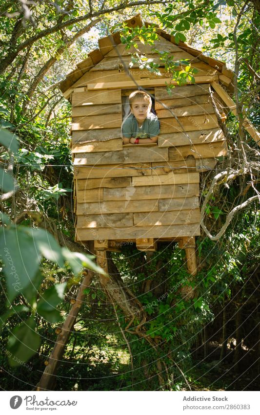 Blonder Junge spielt in einem hölzernen Baumhaus. Abenteuer Architektur Gebäude Kindheit Klettern Konstruktion Landschaft Wald grün gebastelt Haus Verstand