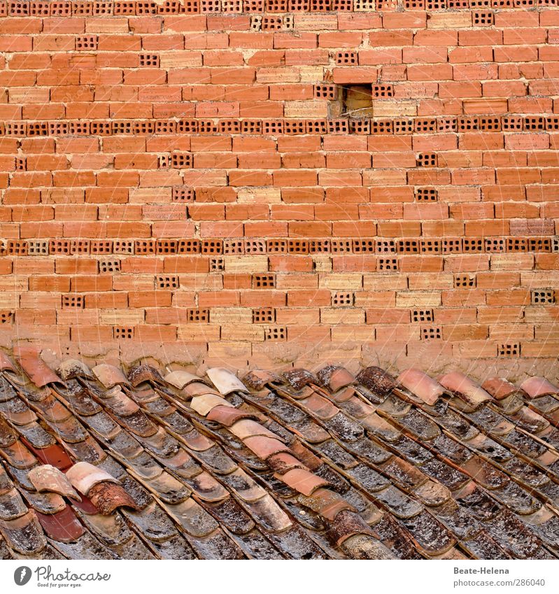 wenn eins zum andern kommt Häusliches Leben Haus Hausbau Handwerker Mauer Wand Dach Stein Arbeit & Erwerbstätigkeit bauen eckig Billig braun rot Kraft