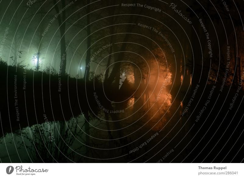 Lichter in der Nacht Natur Landschaft Wasser Herbst Baum Park Wald Flussufer Bach leuchten außergewöhnlich dunkel grün orange Angst Nachtaufnahme Farbfoto