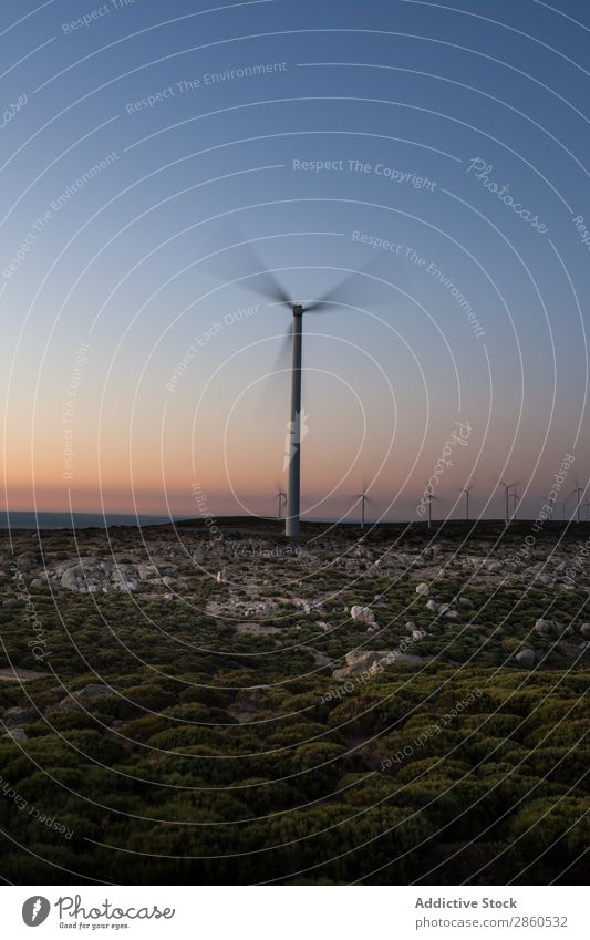 Windmühlen bei Sonnenuntergang alternativ Sauberkeit Öko Elektrizität Energie Umwelt Zukunft Ökostrom grren Landschaft Mühle Natur regenerativ Ressource Turbine