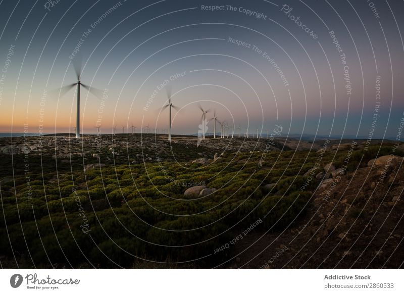 Windmühlen bei Sonnenuntergang alternativ Sauberkeit Öko Elektrizität Energie Umwelt Zukunft Ökostrom grren Landschaft Mühle Natur regenerativ Ressource Turbine