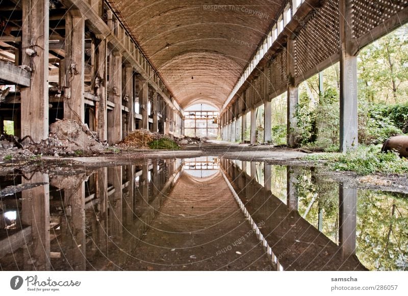 spieglein spieglein... Fabrik Industrie Industrieanlage Ruine Bauwerk Gebäude Mauer Wand alt kaputt Fabrikhalle industriell Industriegelände Industrieruine