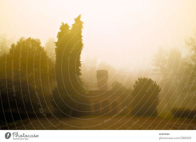 Turm im Nebel Landschaft Herbst schlechtes Wetter Regen Baum Wald Burg oder Schloss Bauwerk Gebäude Architektur Sehenswürdigkeit Wahrzeichen dunkel Stimmung