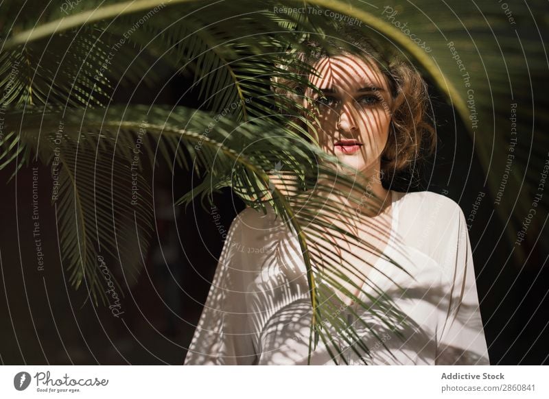 Hübsche Frau an der Palme Jugendliche attraktiv Kleid stehen Handfläche Pflanze Blick in die Kamera Blatt grün weiß schön Beautyfotografie Mensch hübsch Dame