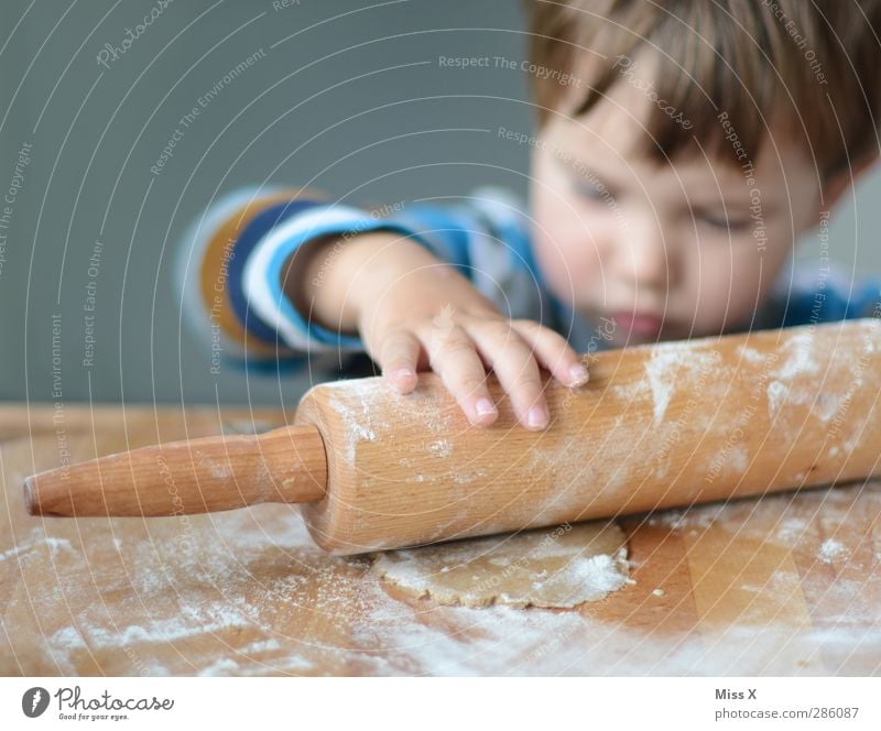 Heinzelmännchen Lebensmittel Teigwaren Backwaren Ernährung Mensch Kind Kleinkind Kindheit Hand 1 1-3 Jahre 3-8 Jahre lecker Neugier niedlich süß