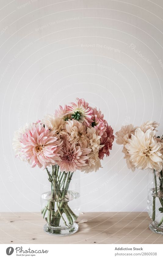 Blumensträuße in Vasen auf dem Tisch Haufen Küchengeräte Blumenstrauß Wasser Wand weiß Holz Grunge Glas frisch retro Pflanze Innenarchitektur Blütenknospen