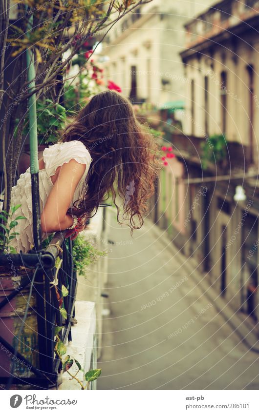 Warten auf elegant exotisch schön Haare & Frisuren Abenteuer Häusliches Leben Wohnung Hausbau Balkon feminin Junge Frau Jugendliche Partner Kopf Arme 1 Mensch