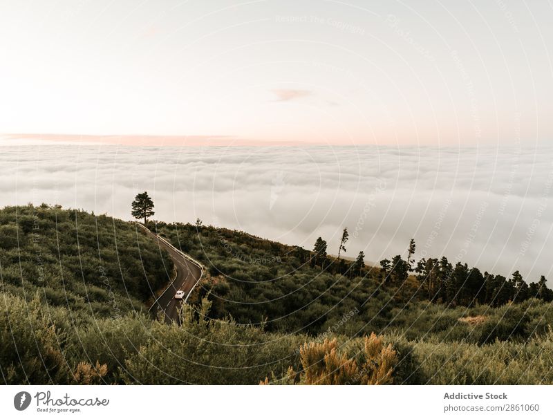 Straße auf grünem Hügel Natur Ferien & Urlaub & Reisen Landschaft Tourismus Top Wolkenlandschaft Berge u. Gebirge wandern schön Abenteuer wild Jahreszeiten