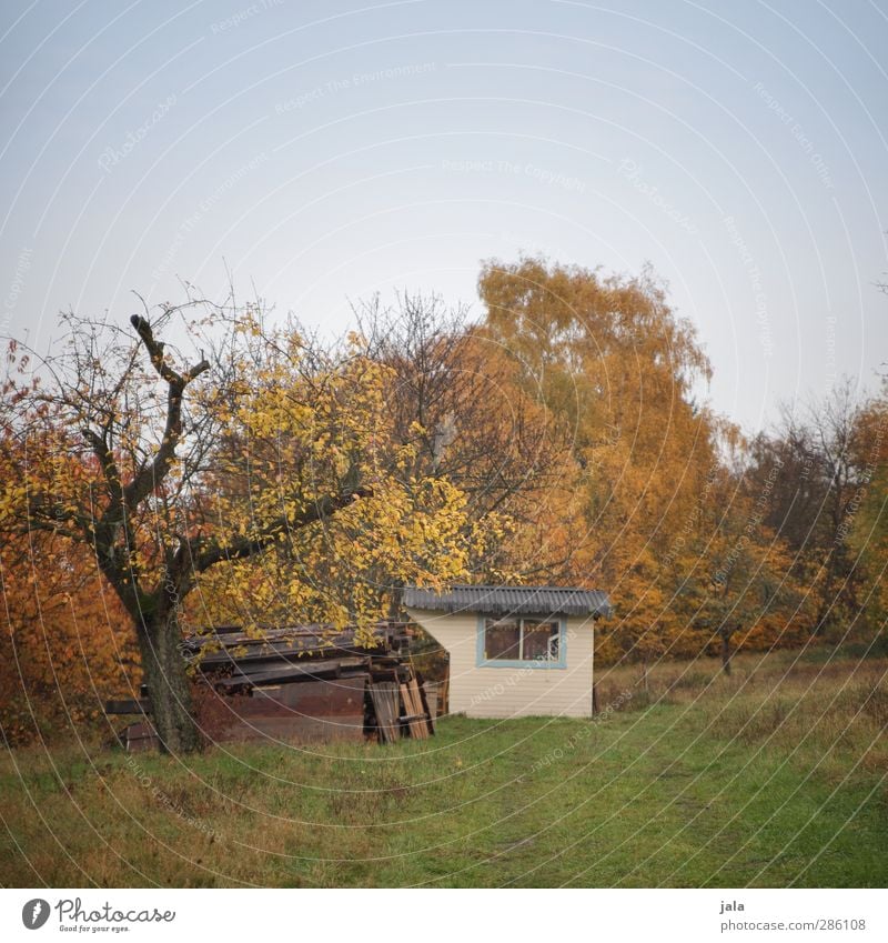 laube Umwelt Natur Landschaft Pflanze Himmel Herbst Baum Gras Sträucher Grünpflanze Wildpflanze Garten Wiese Hütte natürlich blau grün orange Farbfoto