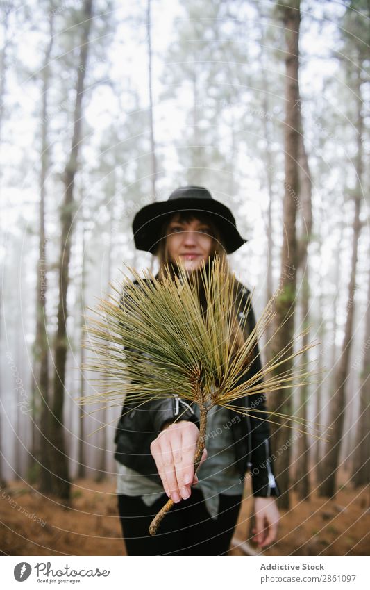 Frau mit immergrünem Ast Wald Natur Ferien & Urlaub & Reisen Immergrün zeigen Tourismus Landschaft wandern schön Hut Park Abenteuer wild Jahreszeiten