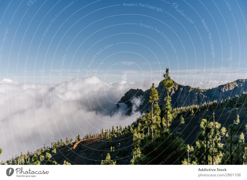 Waldbedeckte Hügel an sonnigen Tagen Natur Ferien & Urlaub & Reisen Tourismus Berge u. Gebirge Landschaft wandern alpin Wolkenlandschaft Fluggerät