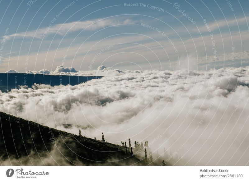 Waldbedeckte Hügel an sonnigen Tagen Natur Ferien & Urlaub & Reisen Tourismus Berge u. Gebirge Landschaft wandern alpin Wolkenlandschaft Fluggerät