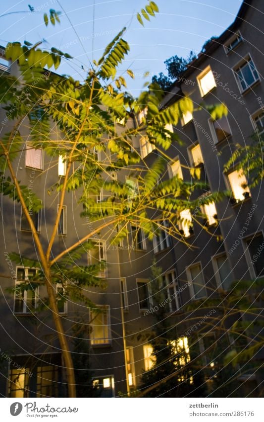 Licht Häusliches Leben Wohnung Haus Nachtleben Umwelt Natur Himmel Herbst Baum Grünpflanze Stadt Hauptstadt Stadtzentrum Bauwerk Gebäude Architektur Mauer Wand