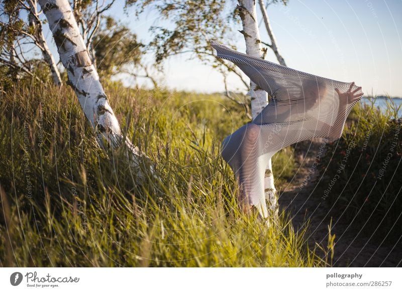 abstract bodies (18) Mensch feminin Junge Frau Jugendliche Erwachsene Leben Körper 18-30 Jahre Natur Landschaft Pflanze Wolkenloser Himmel Sommer Schönes Wetter