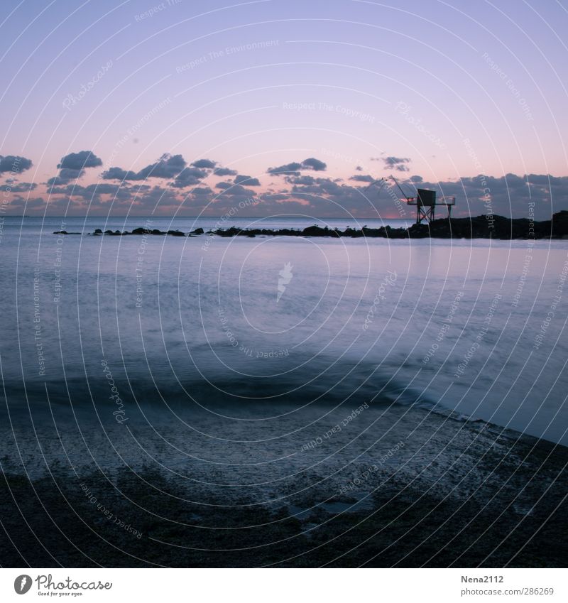 Gute Nacht! Natur Landschaft Luft Wasser Himmel Wolken Nachthimmel Wetter Schönes Wetter Wellen Küste Meer blau violett Langzeitbelichtung Pêcherie Säule